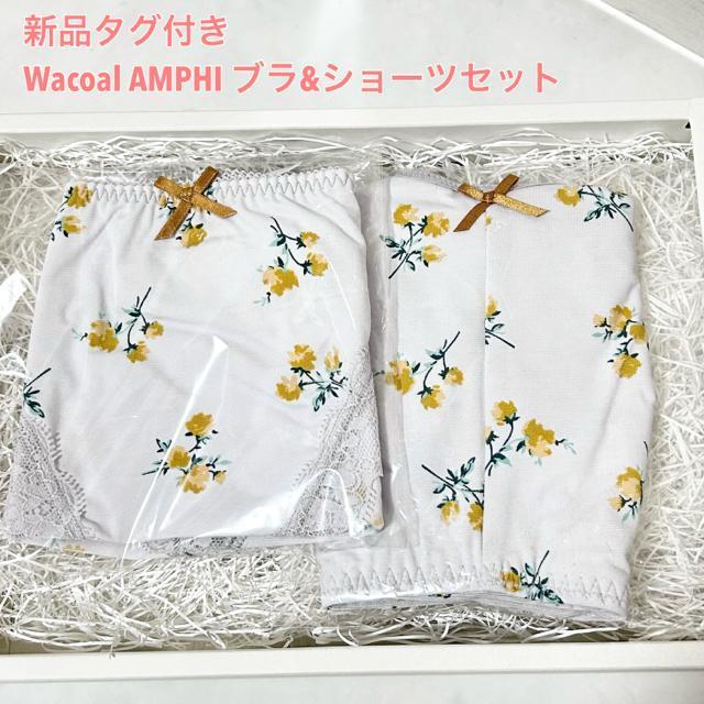 Vi Wacoal R[ AMPHI AtB uV[cZbg M L   t@bV 