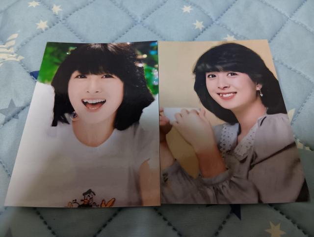 �͍��ޕێq�ʐ^�Z�b�g  �� �^�����g�O�b�Y�� 