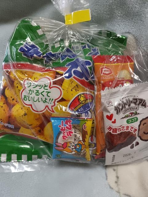 �ʉَq�Z�b�g2  �� �O����/�h�����N�� 