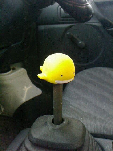 VtgmuIWiM12~P1.25lCNWF  /oCN