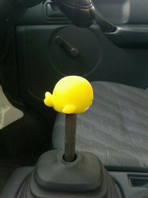 VtgmuIWiM12~P1.25lCNWF  /oCN