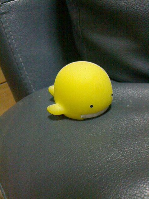 VtgmuIWiM12~P1.25lCNWF  /oCN