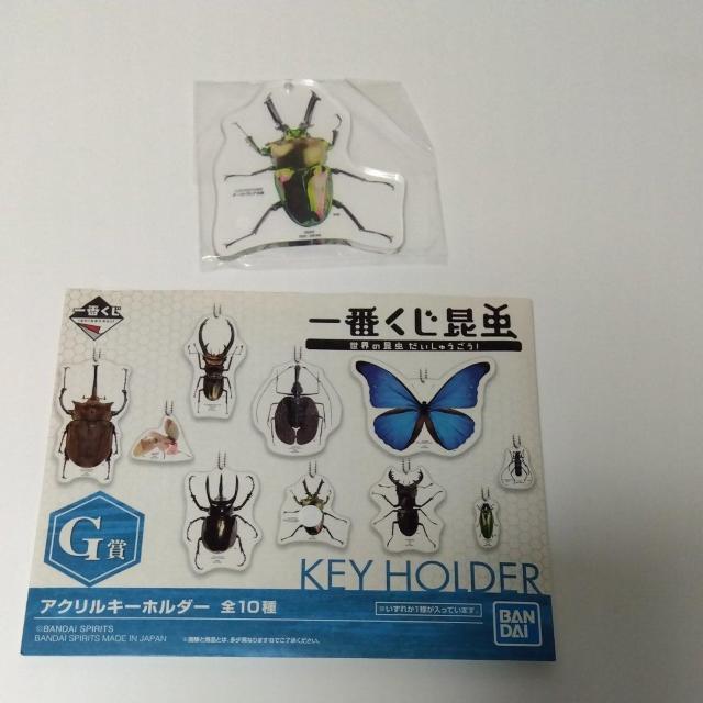 一番くじ 昆虫 世界の昆虫だいしゅうごう G賞 アクリルキーホルダー ニジイロクワガタ < おもちゃ  一番くじ 昆虫 世界の昆虫だいしゅうごう G賞 アクリルキーホルダー ニジイロクワガタ  < おもちゃの