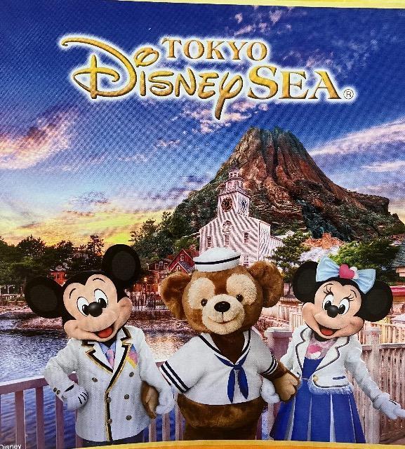 �f�B�Y�j�[���]�[�g�p�[�N�y�A�`�P�b�g/500�g1000���l5�� 