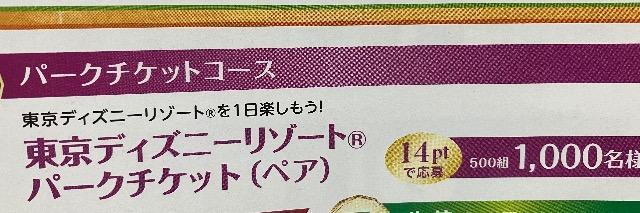 �f�B�Y�j�[���]�[�g�p�[�N�y�A�`�P�b�g/500�g1000���l5��