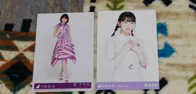 乃木坂46堀未央奈☆公式生写真〜まとめ売り8枚セット! < タレントグッズ  乃木坂46堀未央奈☆公式生写真〜まとめ売り8枚セット! < タレントグッズの
