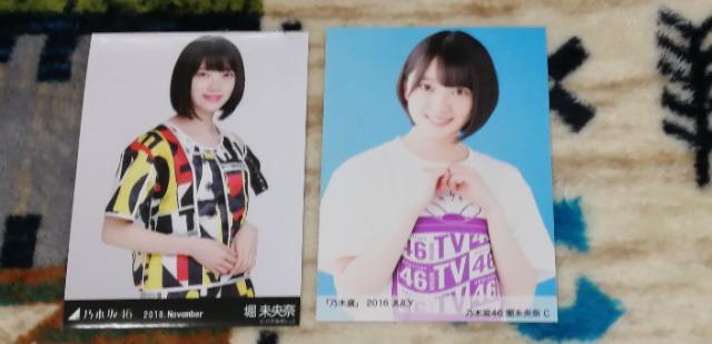 乃木坂46堀未央奈☆公式生写真〜まとめ売り8枚セット! < タレントグッズ  乃木坂46堀未央奈☆公式生写真〜まとめ売り8枚セット! < タレントグッズの