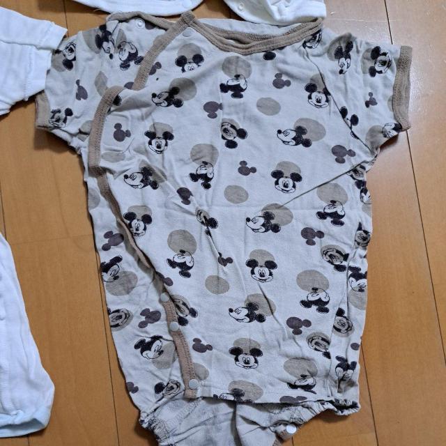 ZAp[X50cm`70cm  LbY/xr[ 