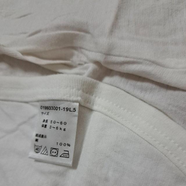 ZAp[X50cm`70cm  LbY/xr[ 