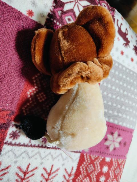 �W�����O����� ���C�� ���g�� ��ˎ��� �ʂ������ �� �A�j��/�R�~�b�N/�L�����N�^�[�� 