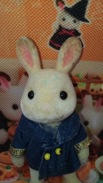 VojAt@~[VRETM̂񉘂LSylvanian Familiesh[l`   