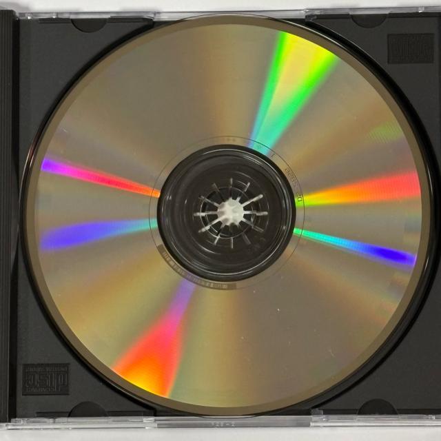 SOLID BOND / BUDDY BUDDY �� CD/DVD/�r�f�I�� 