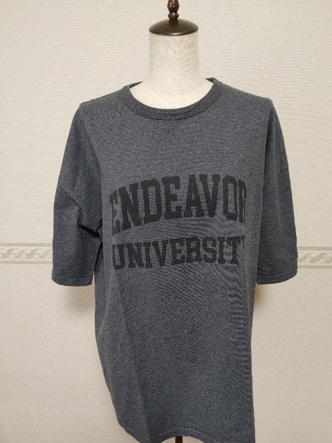 FRAMeWORK t[[N lI[o[TVc iPgpAP Apg hD[YBGNX