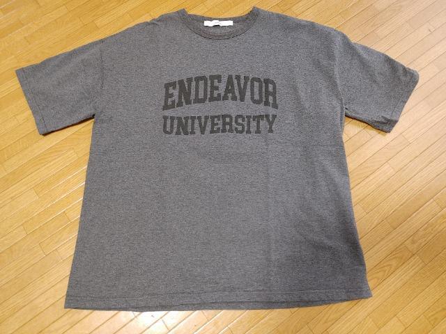 FRAMeWORK t[[N lI[o[TVc iPgpAP Apg hD[YBGNX