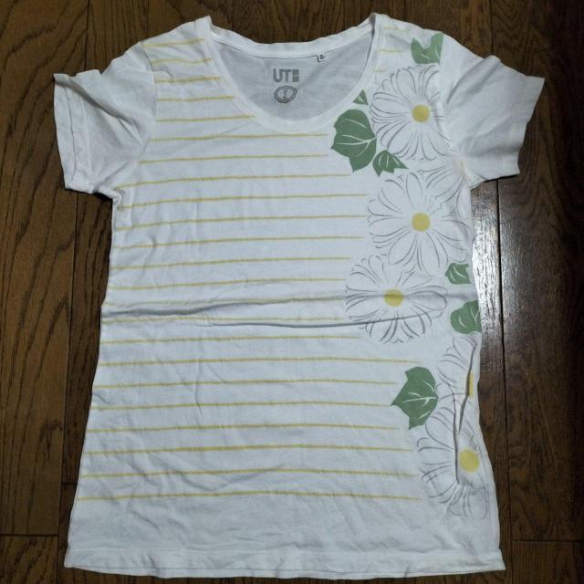 UNIQLO@UT@@TVc@MTCY@͂   uh 