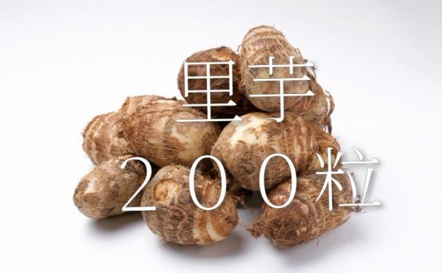 里芋の種200粒+マリーゴールド花種+選べる粗品+全国匿名送料無料です\(^o^)/ < ペット/手芸/園芸 里芋の種200粒+マリーゴールド花種+選べる粗品+全国匿名送料無料です\(^o^)/ < ペット/手芸/園芸の