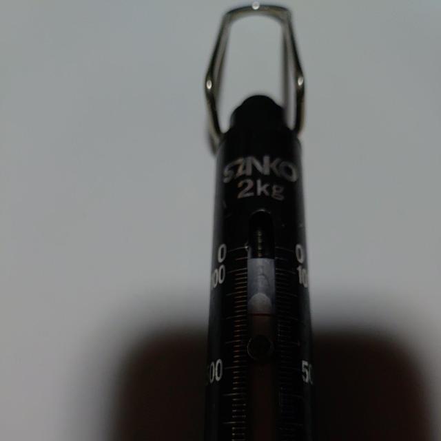 フィッシュはかり < レジャー/スポーツ フィッシュはかり < レジャー/スポーツの