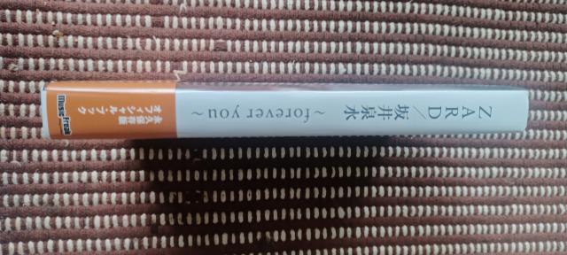 ZARD/坂井泉水 ~forever you~  (書籍) < タレントグッズ  ZARD/坂井泉水 ~forever you~  (書籍) < タレントグッズの