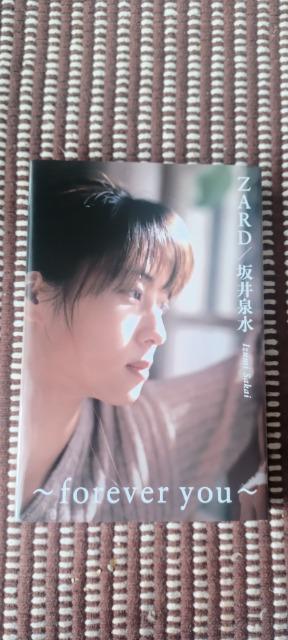 ZARD/坂井泉水 ~forever you~  (書籍) < タレントグッズ  ZARD/坂井泉水 ~forever you~  (書籍) < タレントグッズの