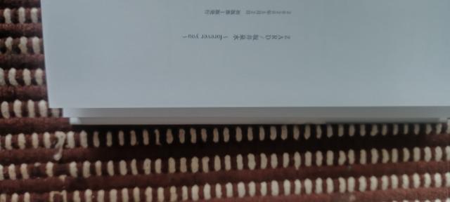 ZARD/坂井泉水 ~forever you~  (書籍) < タレントグッズ  ZARD/坂井泉水 ~forever you~  (書籍) < タレントグッズの