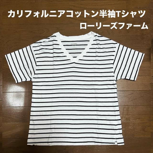【used】ボーダー柄カリフォルニアコットン半袖Tシャツ/ローリーズファーム/L < 女性ファッション 【used】ボーダー柄カリフォルニアコットン半袖Tシャツ/ローリーズファーム/L < 女性ファッションの