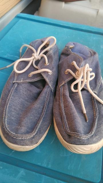 セダークレスト マリンシューズ スリッポン かかと踏みサンダル Lサイズ < 男性ファッション セダークレスト マリンシューズ スリッポン かかと踏みサンダル Lサイズ < 男性ファッションの