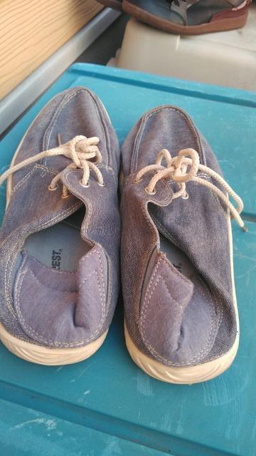 セダークレスト マリンシューズ スリッポン かかと踏みサンダル Lサイズ < 男性ファッション セダークレスト マリンシューズ スリッポン かかと踏みサンダル Lサイズ < 男性ファッションの