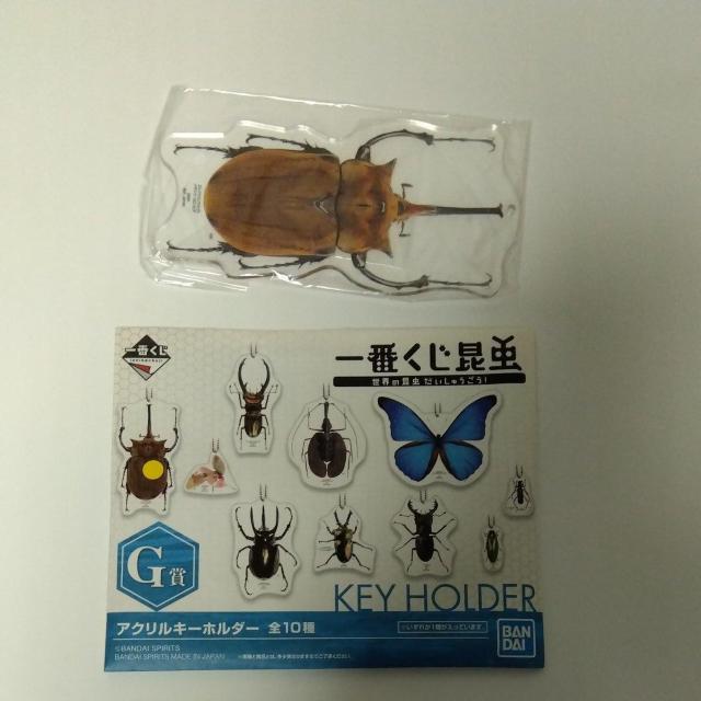 Ԃ@@E̍イ@G܁@ANL[z_[@Gt@X]EJug   Aj/R~bN/LN^[ 