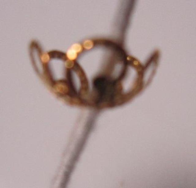 �e��D�E�S�[���h��6�� �� �y�b�g/��|/���|�� 