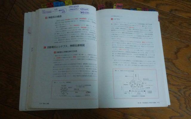 看護学入門2巻 メヂカルフレンド社 定価1800円 < 本/雑誌  看護学入門2巻 メヂカルフレンド社 定価1800円 < 本/雑誌の