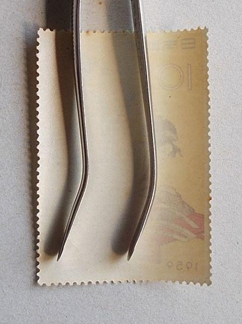 ygpz1959N@؎Tԁ@i@P  zr[ 