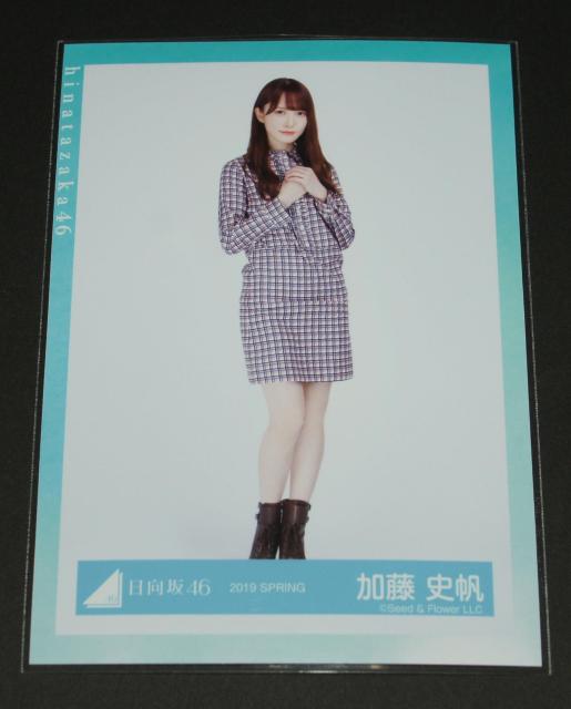 ������46�@ ���ʐ^�P���@�����j���@�t�̎���  �� �^�����g�O�b�Y�� 