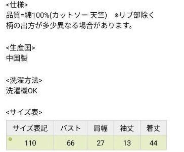 110★綿100%半袖Tシャツ2枚セット★新品★送料無料 < キッズ/ベビー  110★綿100%半袖Tシャツ2枚セット★新品★送料無料 < キッズ/ベビーの