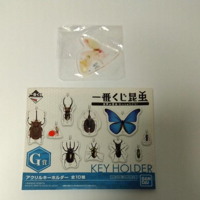 Ԃ@@E̍イ@G܁@ANL[z_[@niJ}L   Aj/R~bN/LN^[ 