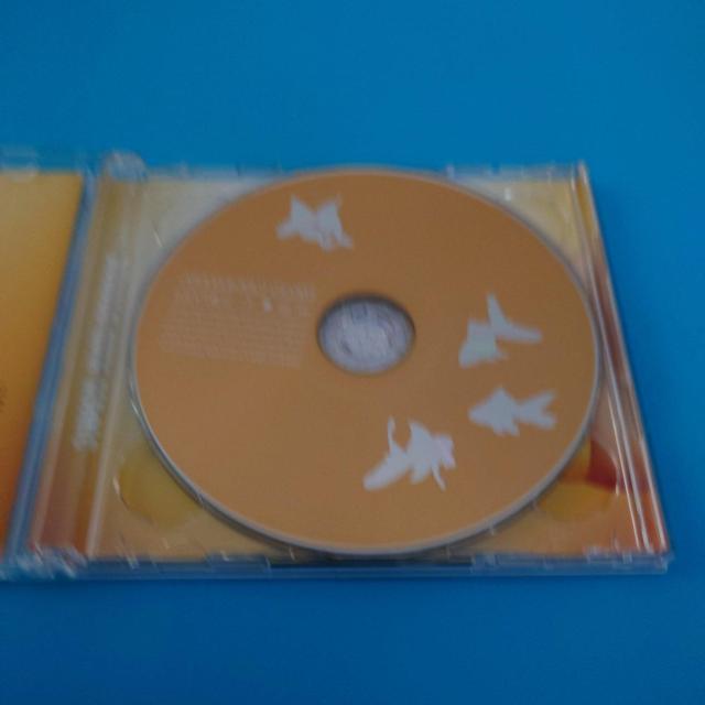 KEYTALK  BUBBLE|GUM MAGIC  񐶎YCD{DVD  CD/DVD/rfI 