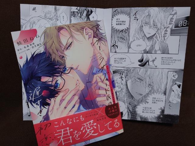 BLAjCgqtyA[T[EUtH[h̒x鏉zc˂ 