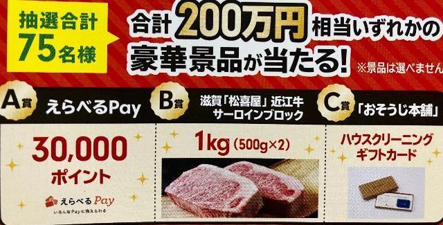 ׂpay3|Cg/ߍ]T[C1kg/Ȃ2   `Pbg/ 