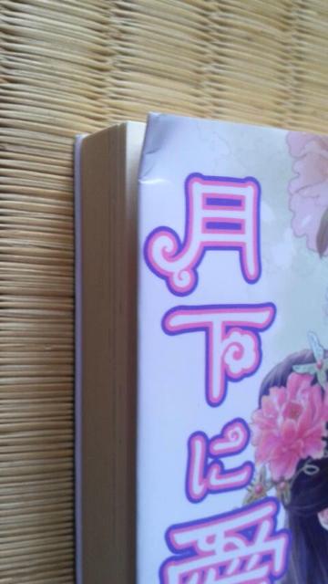 gԉł͌Ɉ𐾂@@쌴  {/G 