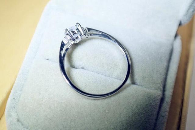 w Jbv ꗱ n[g 15 Cz_C O 蕨 Mtg fB[XzCgS[h Vi  ANZT[/v 