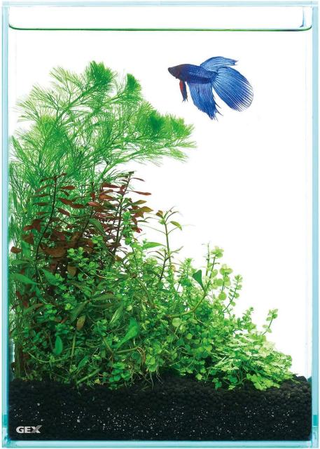 GEX AQUARIUM グラステリアフィット200H ガラスフタ付 フィットガラス製法 ミスト式対応 < ペット/手芸/園芸  GEX AQUARIUM グラステリアフィット200H ガラスフタ付 フィットガラス製法 ミスト式対応 < ペット/手芸/園芸の