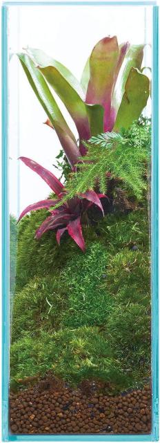 GEX AQUARIUM グラステリアフィット200H ガラスフタ付 フィットガラス製法 ミスト式対応 < ペット/手芸/園芸  GEX AQUARIUM グラステリアフィット200H ガラスフタ付 フィットガラス製法 ミスト式対応 < ペット/手芸/園芸の