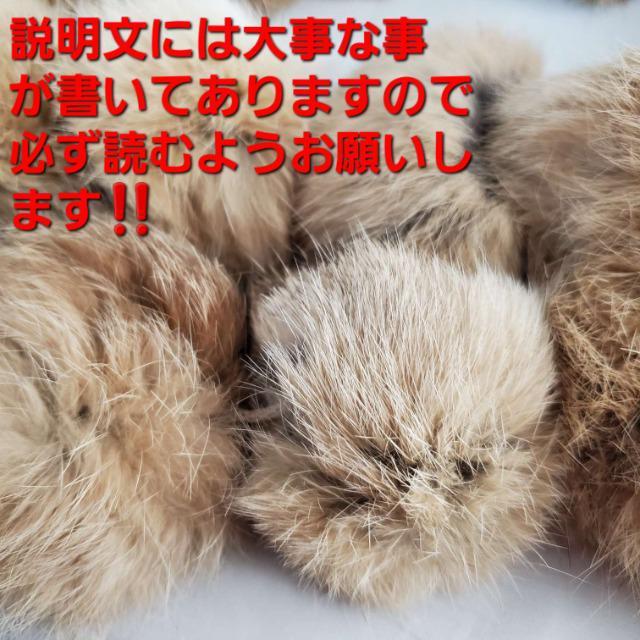 ���݁�����(^O^)�^���r�b�g�����O�}�t���[��