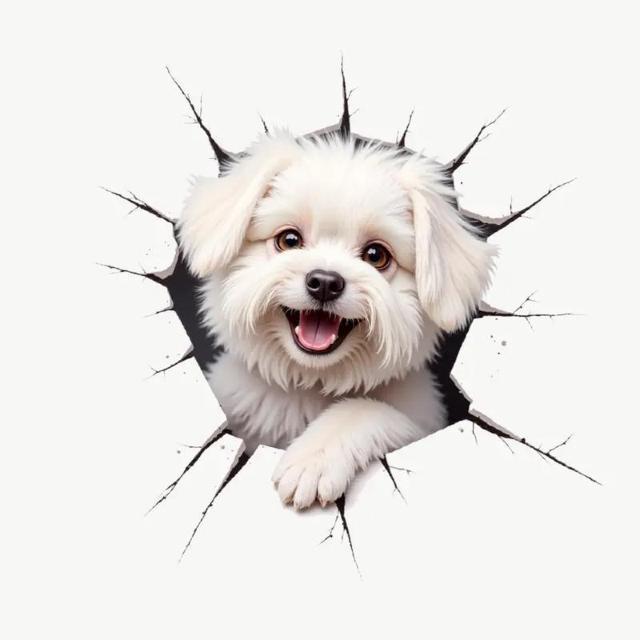 Xi390~Ԃ̃XebJ[킢L̃{fBXNb`Jo[ԃI[goC Windowsm[gp\Rjo[T