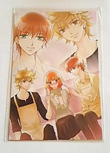 |XgJ[h 4 IWnj[ 񔄕i ViJ l̓L~ɗĂ   zr[ 