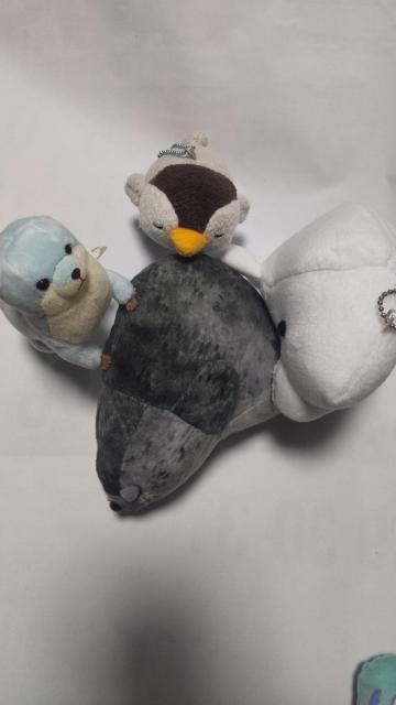 新品 海の生き物 ぬいぐるみセット < おもちゃ 新品 海の生き物 ぬいぐるみセット < おもちゃの