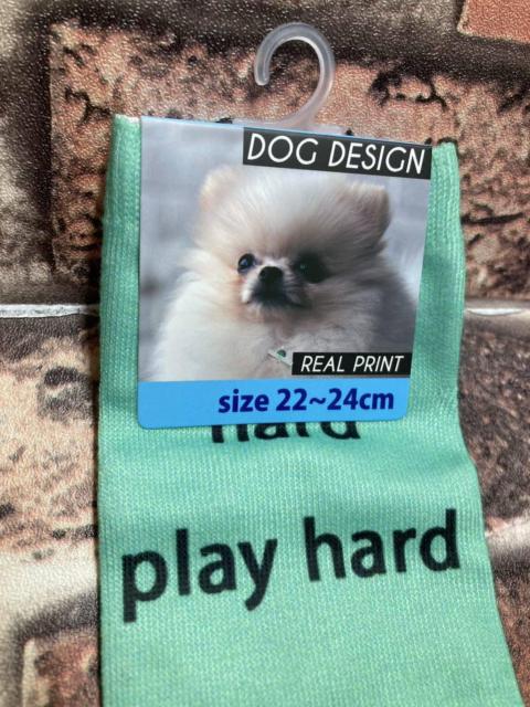 wTgxxXgtBbgIyAhbOfUCzfB[XƕtXj[J[\bNX  t@bV 