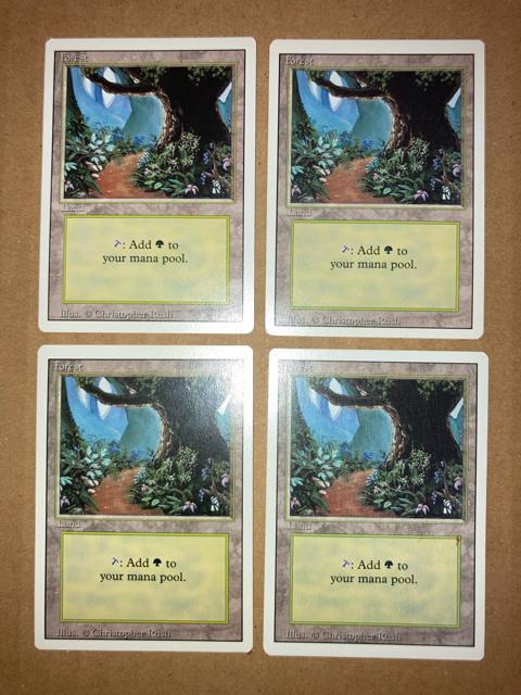 MTG 3ED 森/Forest 英語 4枚 基本土地 基本地形 リバイズド < トレーディングカード MTG 3ED 森/Forest 英語 4枚 基本土地 基本地形 リバイズド < トレーディングカードの