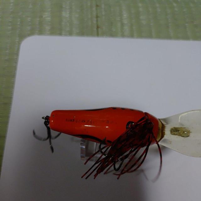 �s���N�����N�x�C�g �� ���W���[/�X�|�[�c�� 