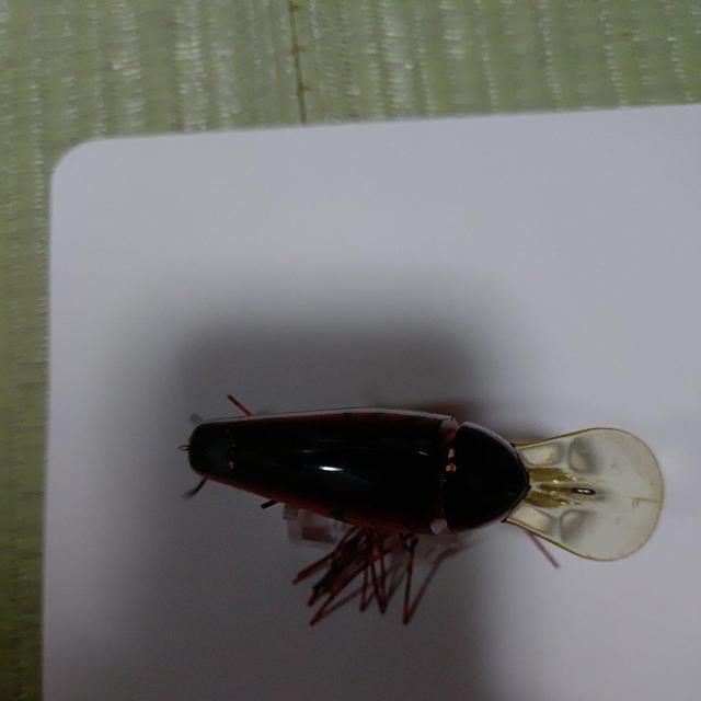 �s���N�����N�x�C�g �� ���W���[/�X�|�[�c�� 