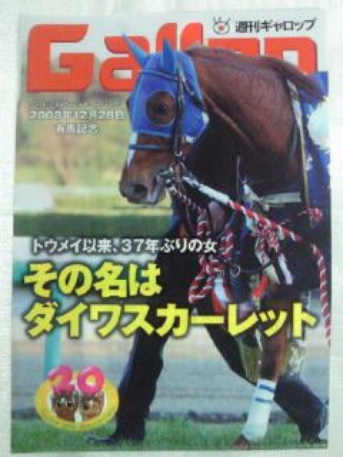 n JRA TMbv Gallop be LnLO Dn t@C 5 Zbg  zr[ 
